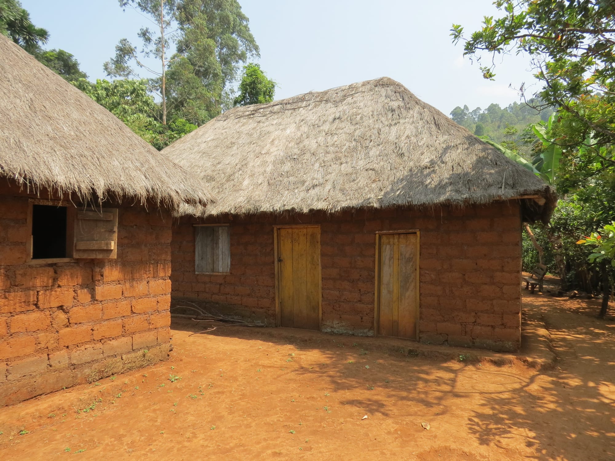 A mud-brick house with a thatched roof and wooden doors, set on red earth among trees