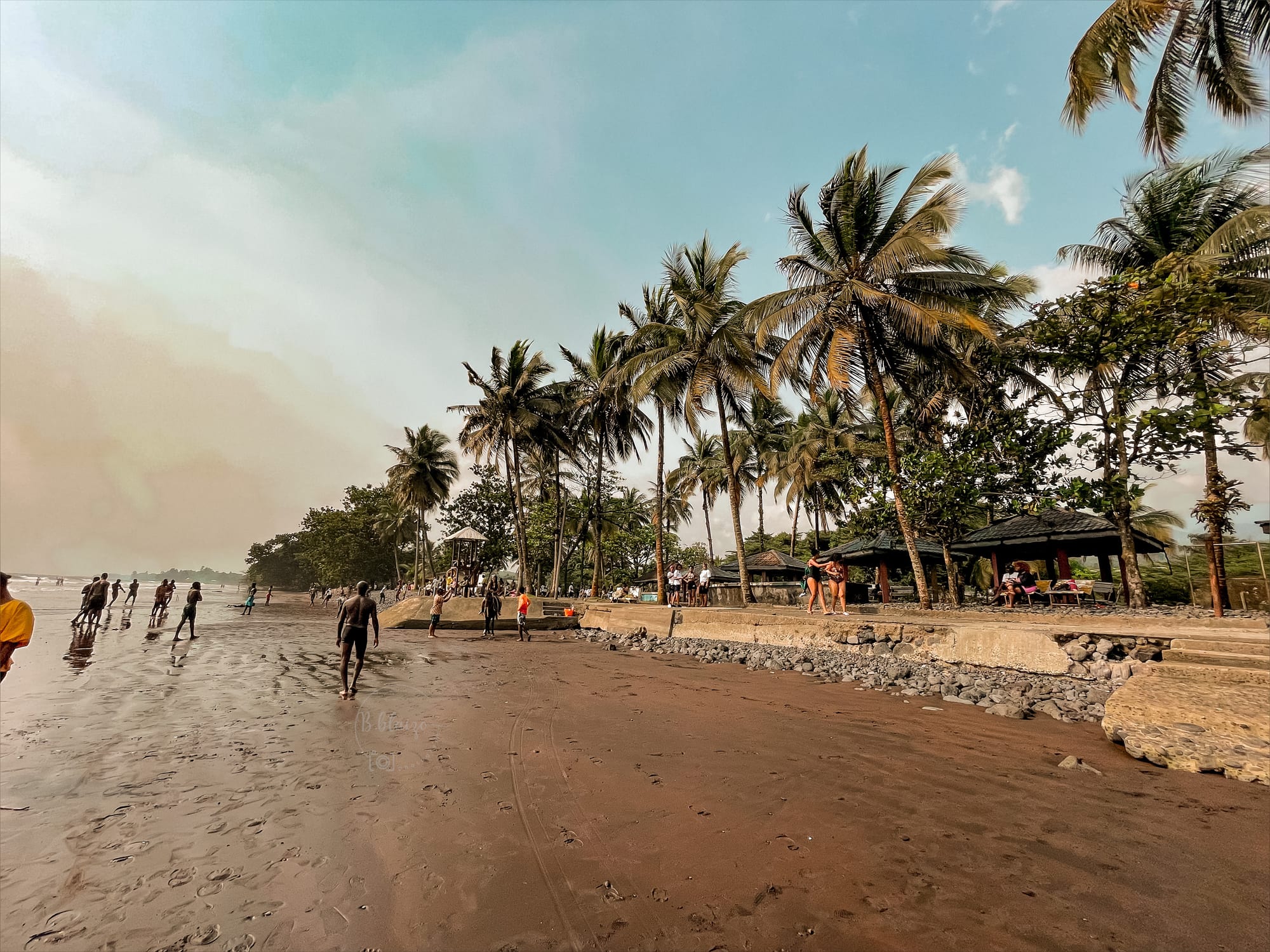 A dark volcanic-sand beach with palms and green hills, grey sea beyond