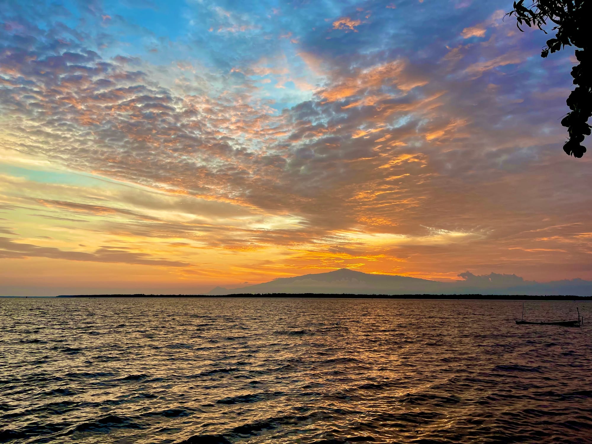 A broad dark volcanic mountain rising above a green coastal plain, its summit in cloud