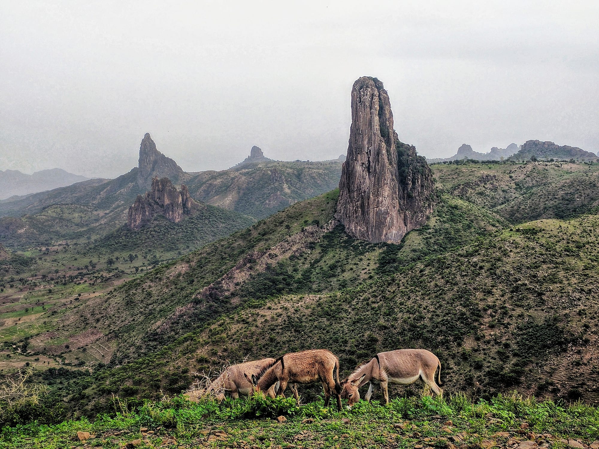 Jagged volcanic peaks and outcrops rising from a green highland plain