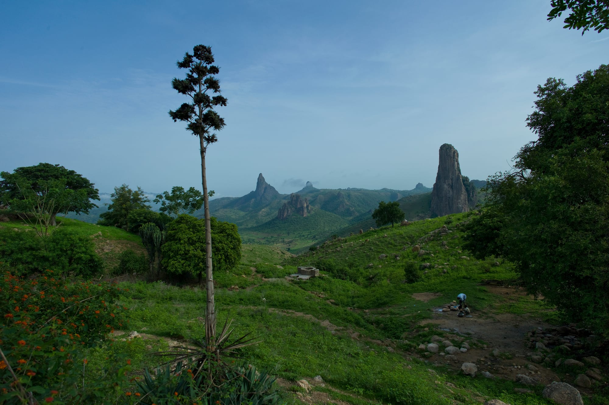 A tall thin volcanic plug rising sheer from a plateau of scattered fields at sunrise