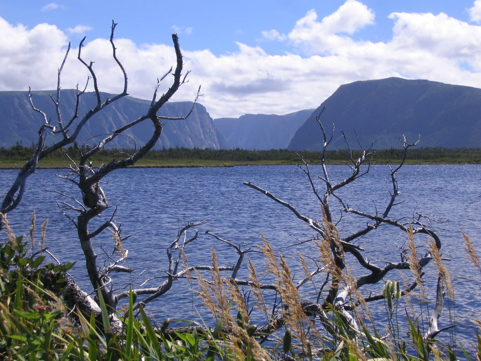 Sheer cliffs rising from a long narrow lake in a glacially carved valley