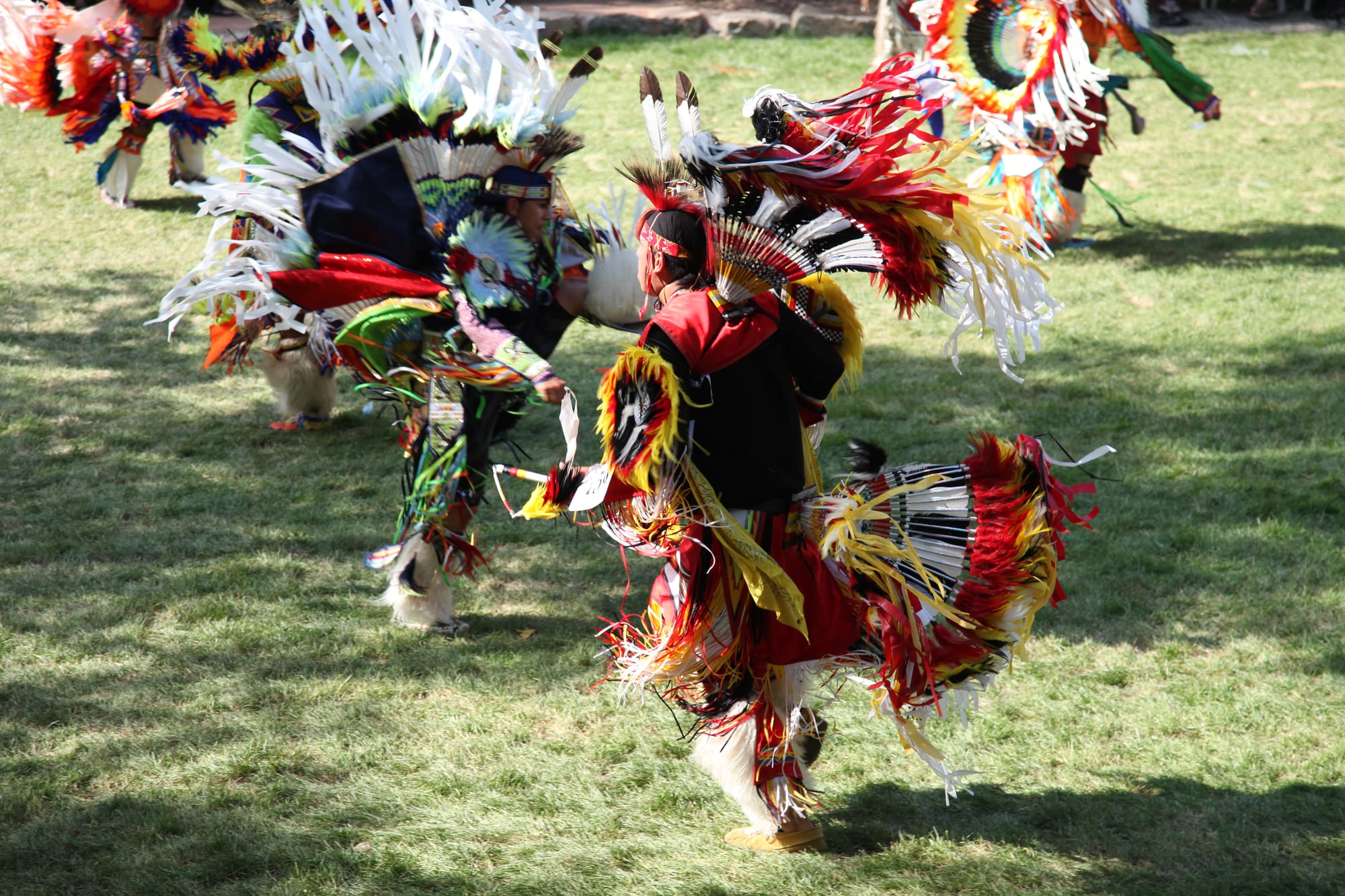 Dancers in vivid feathered regalia with fringed bustles in red, yellow, white and black move across a grassy dance ground