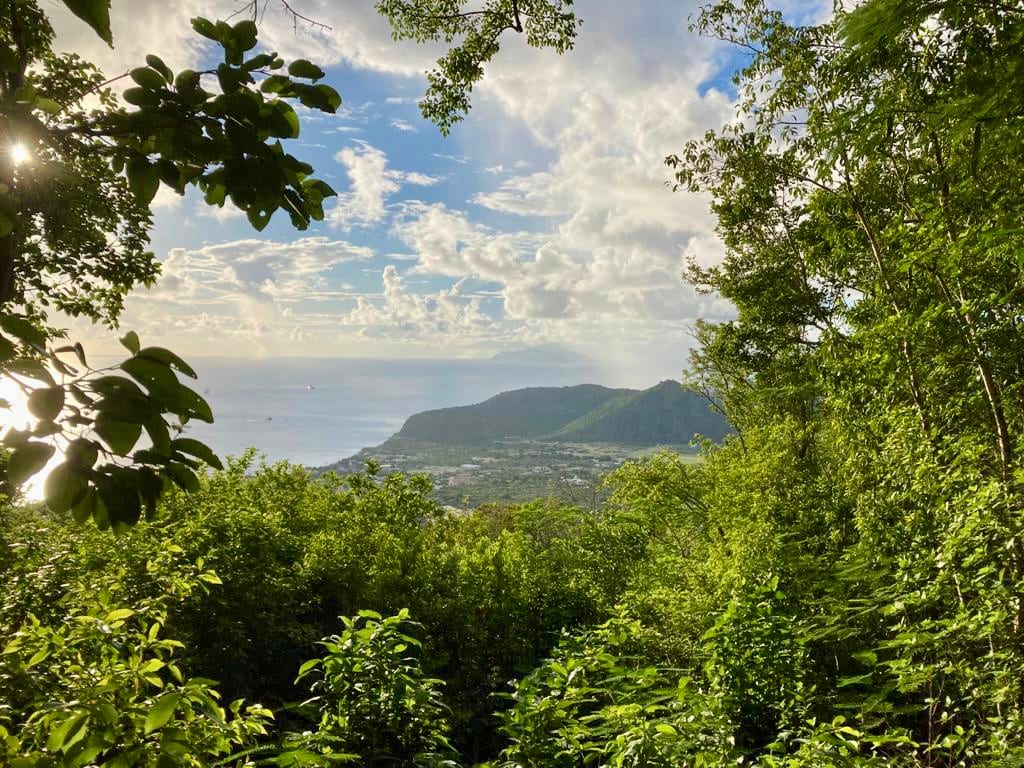 A small town and a green crater rim seen from a forested volcanic slope, sea beyond