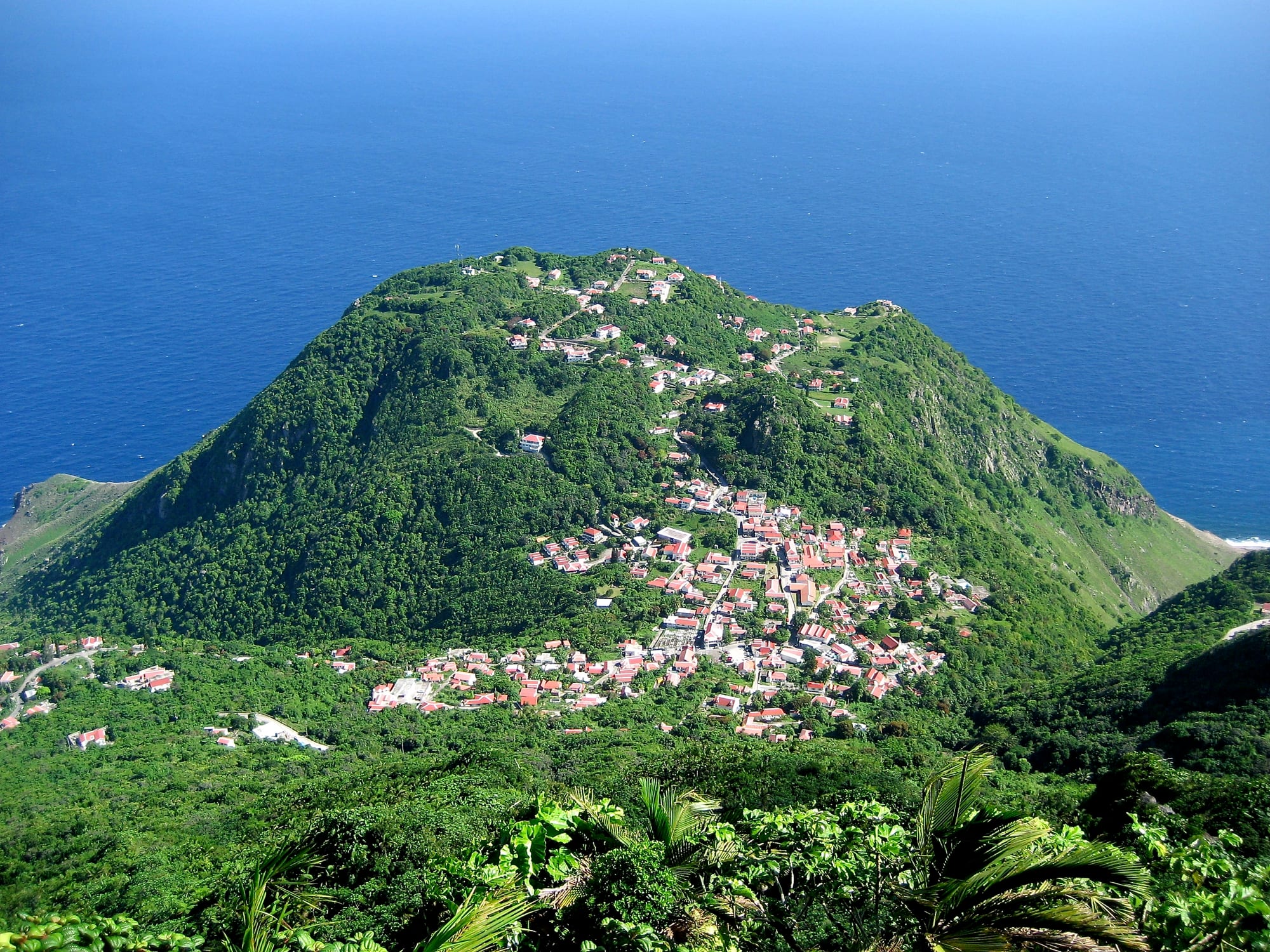 A view down a steep forested ridge to a rugged coastline and open ocean