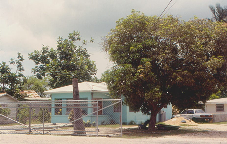 A modest light-blue house with a metal roof behind a chain-link fence and a large mango tree in George Town