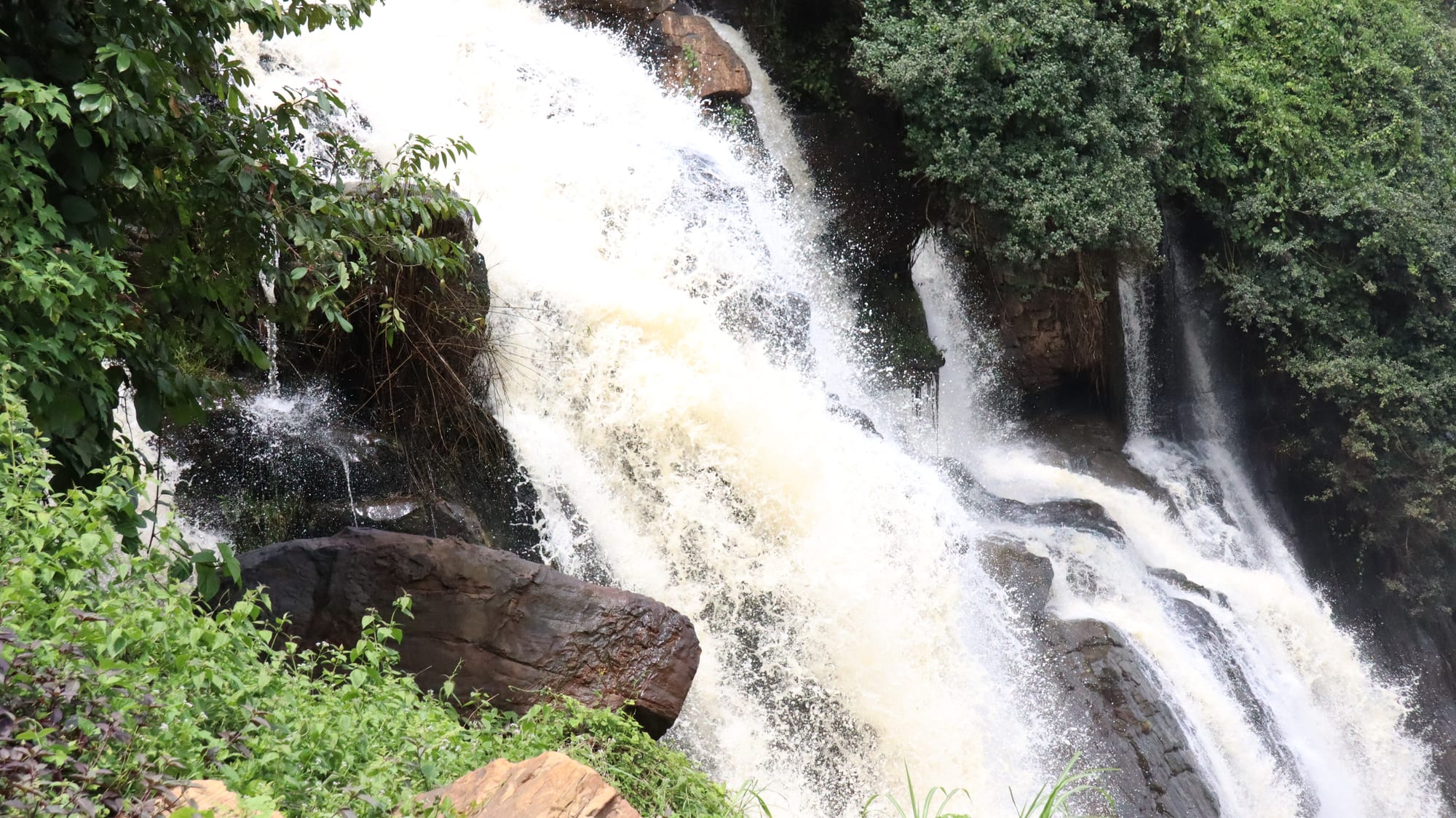 A wide curtain of water dropping over a rock ledge into a forested gorge