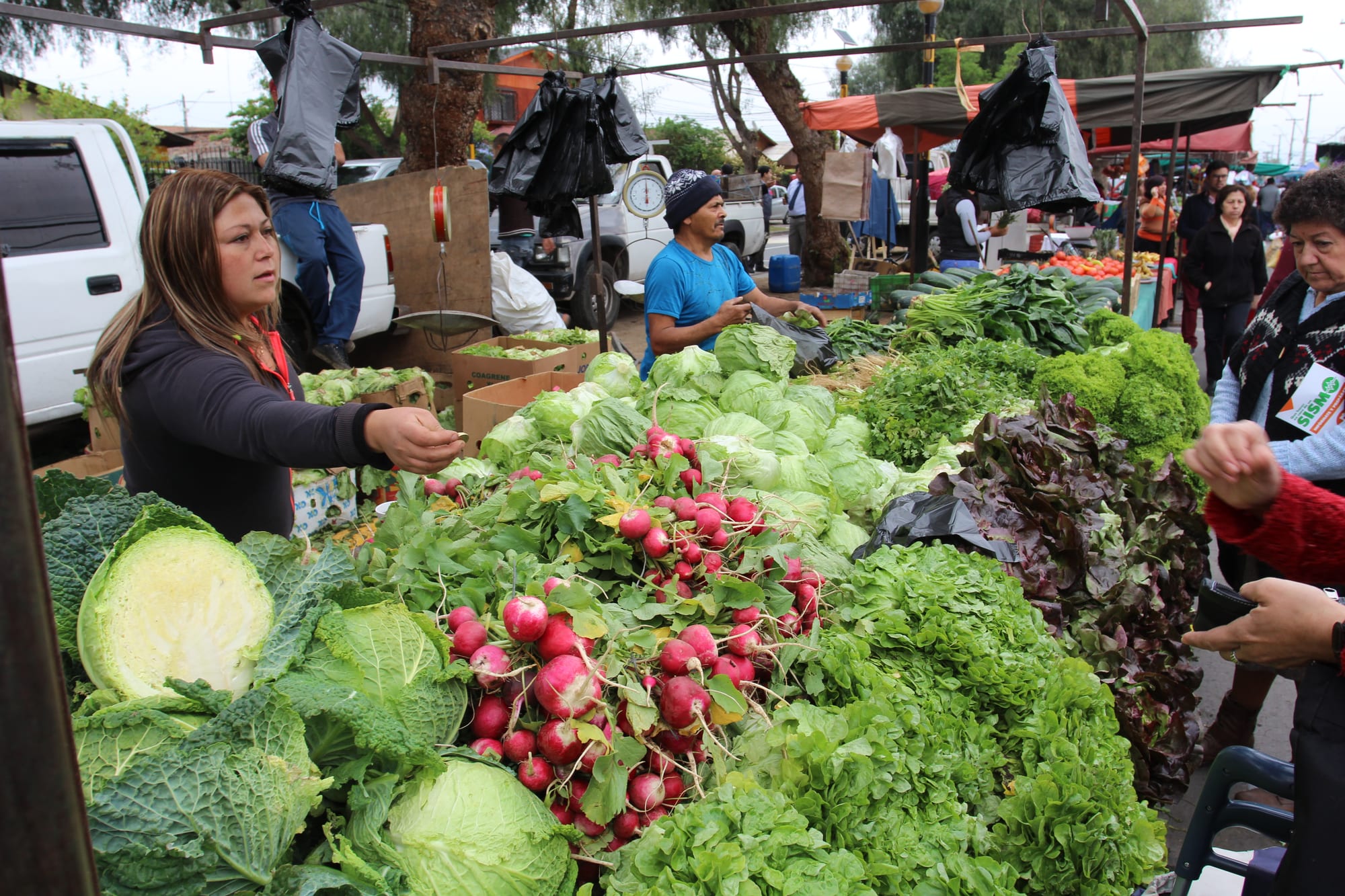 Vendors and shoppers at a busy outdoor Chilean vegetable market piled high with lettuce, cabbage and radishes