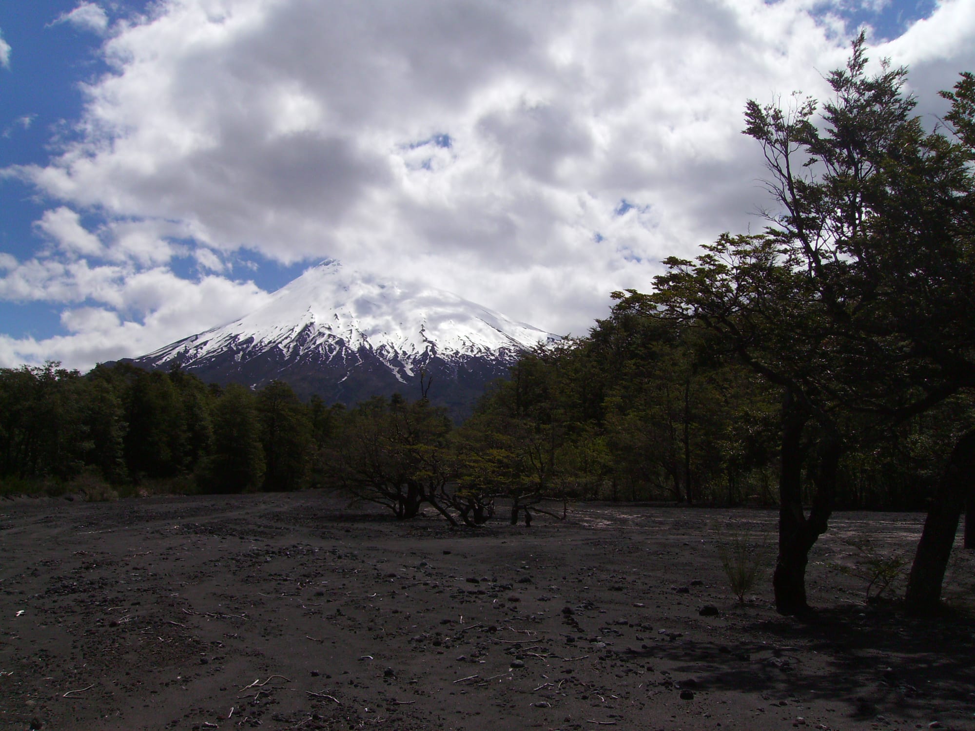 A perfectly conical snow-capped volcano rising beyond a blue lake and green forest