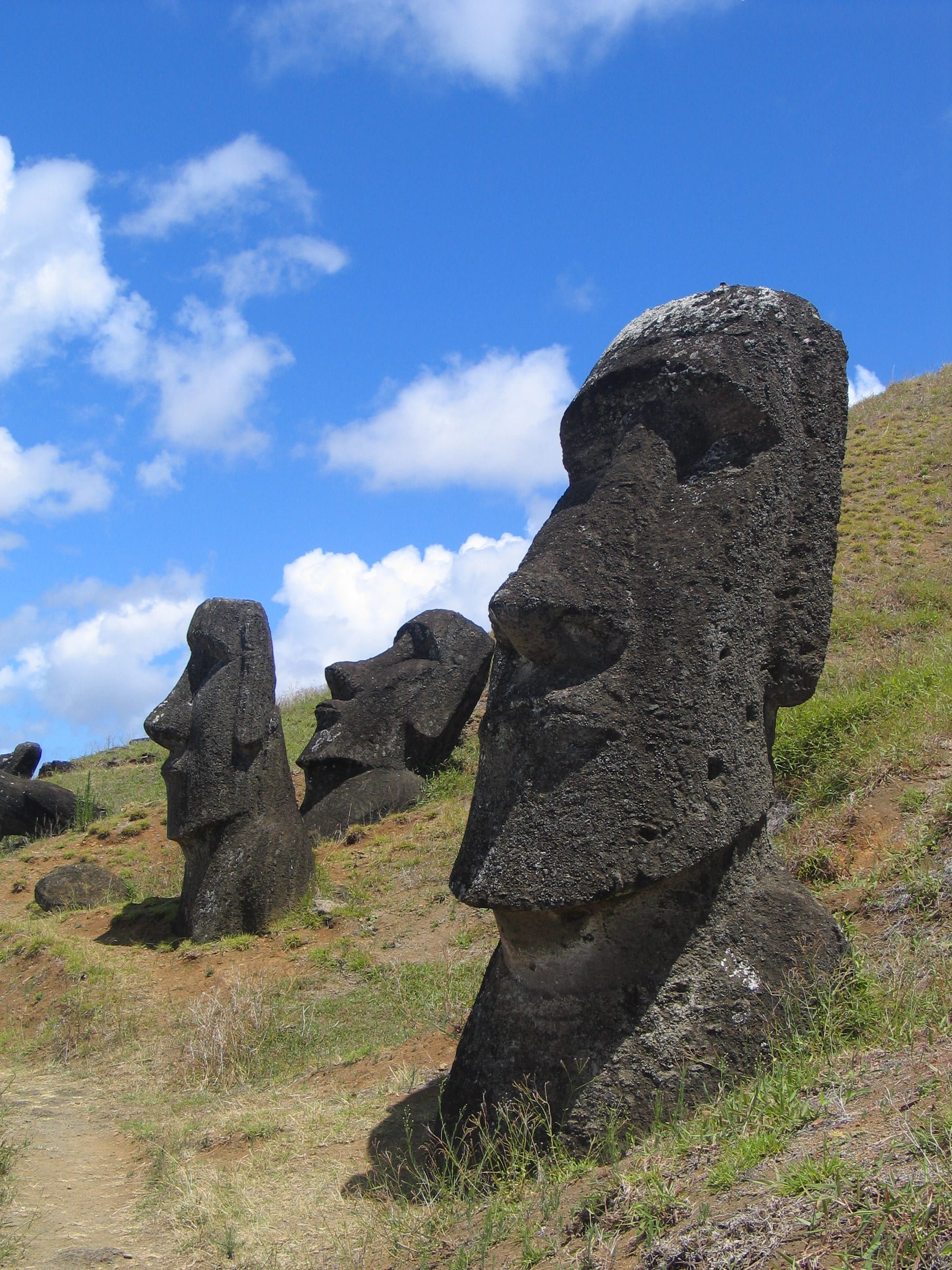 Rows of giant stone heads and torsos half-buried on a grassy volcanic slope