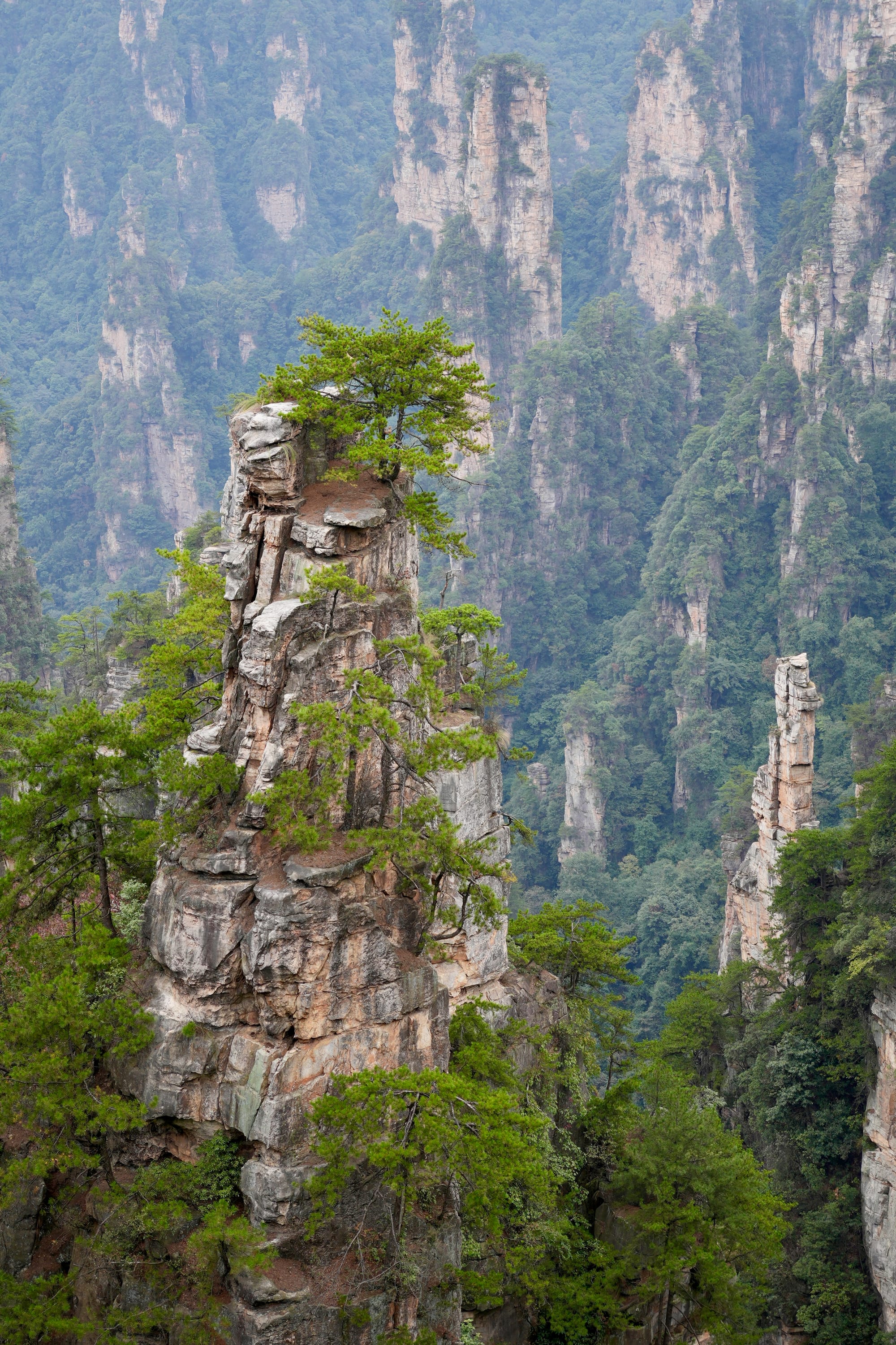 Hundreds of tall, thin sandstone pillars rising out of dense green forest and cloud