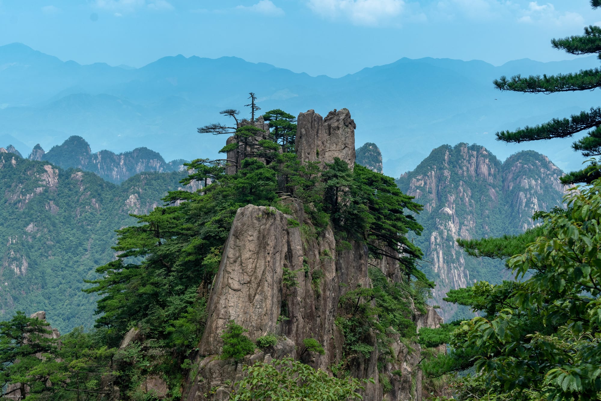 A wind-bent pine crowning a granite pillar, with layered misty peaks behind