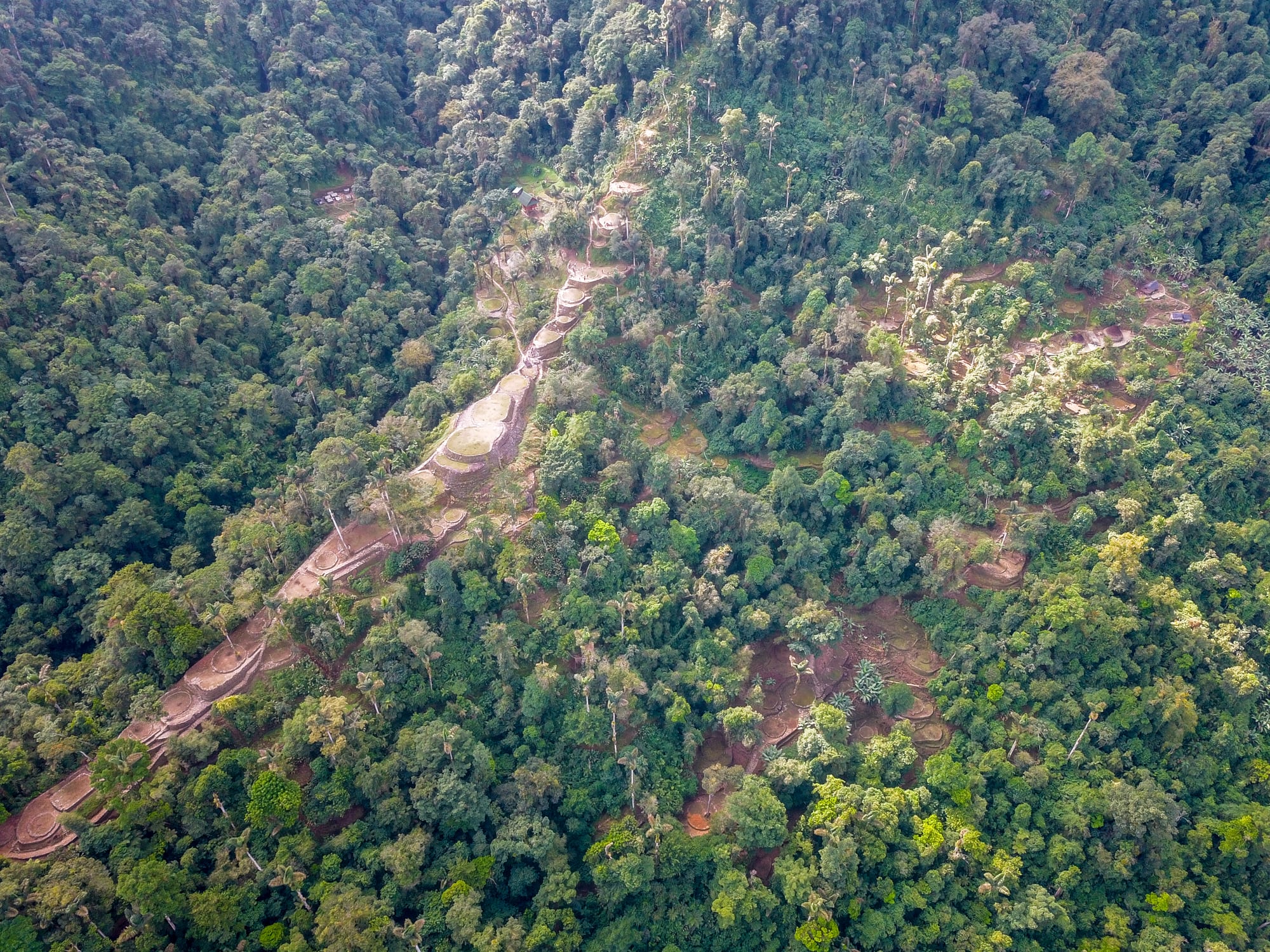 An aerial view of ancient circular stone terraces built into a green jungle hillside
