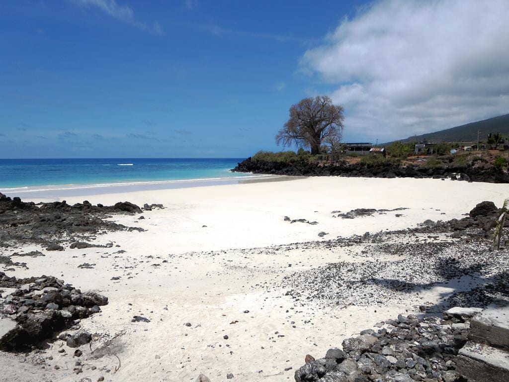 A small beach of pale sand between black lava outcrops, clear water and palms