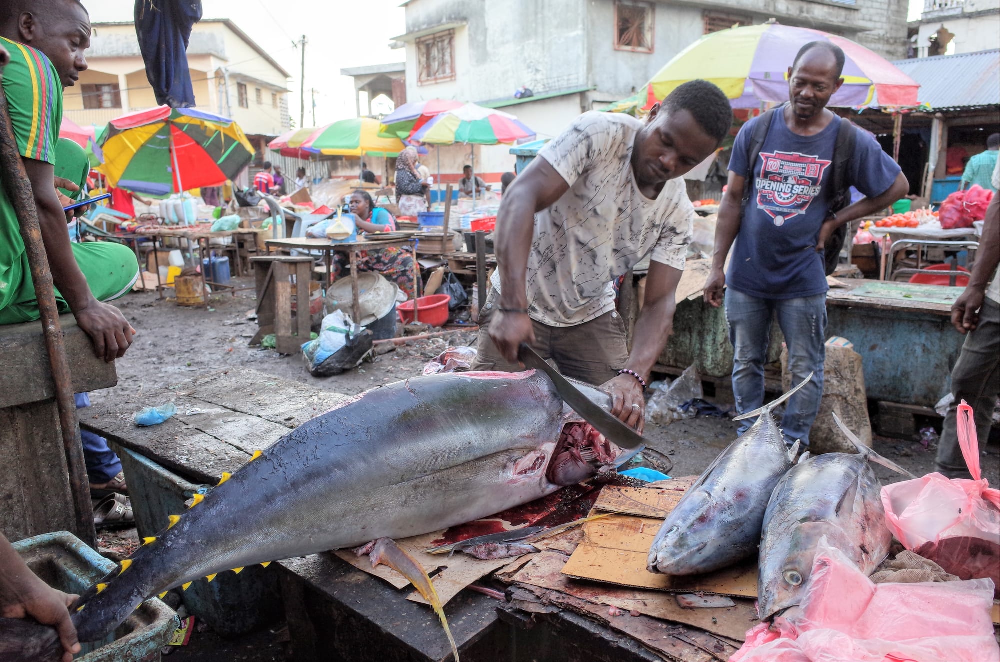 A market stall area with fish laid out for sale