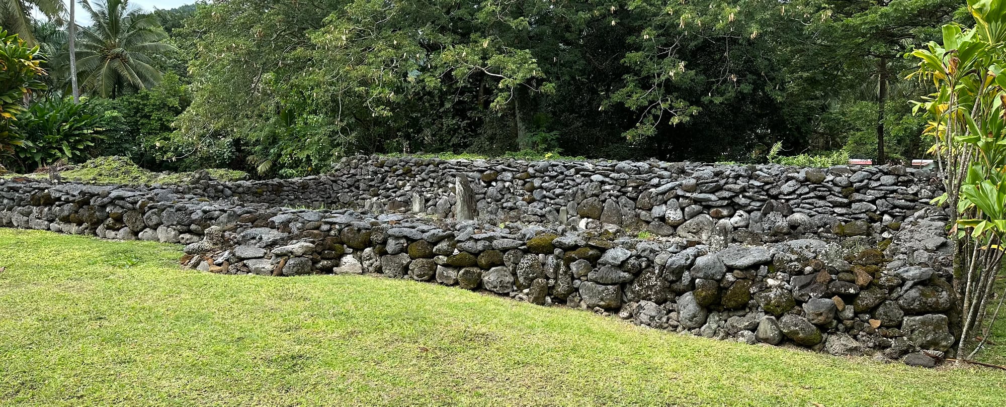 A low rectangular platform of upright and flat basalt stones in a jungle clearing