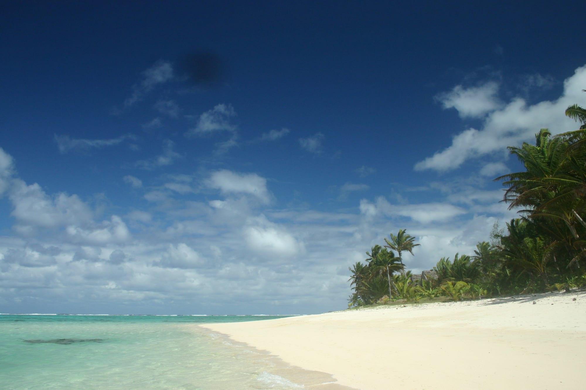 A white-sand beach with clear shallow water and palms, a reef line offshore