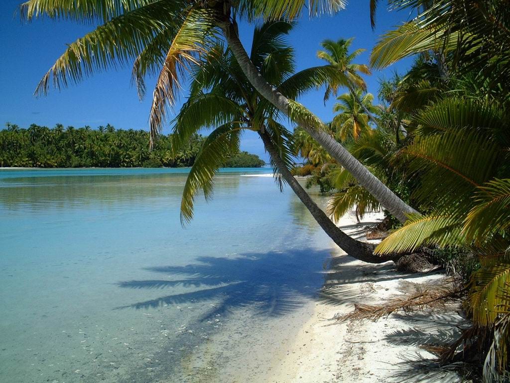 A tiny sandy islet with a few palms in the middle of a vast pale turquoise lagoon