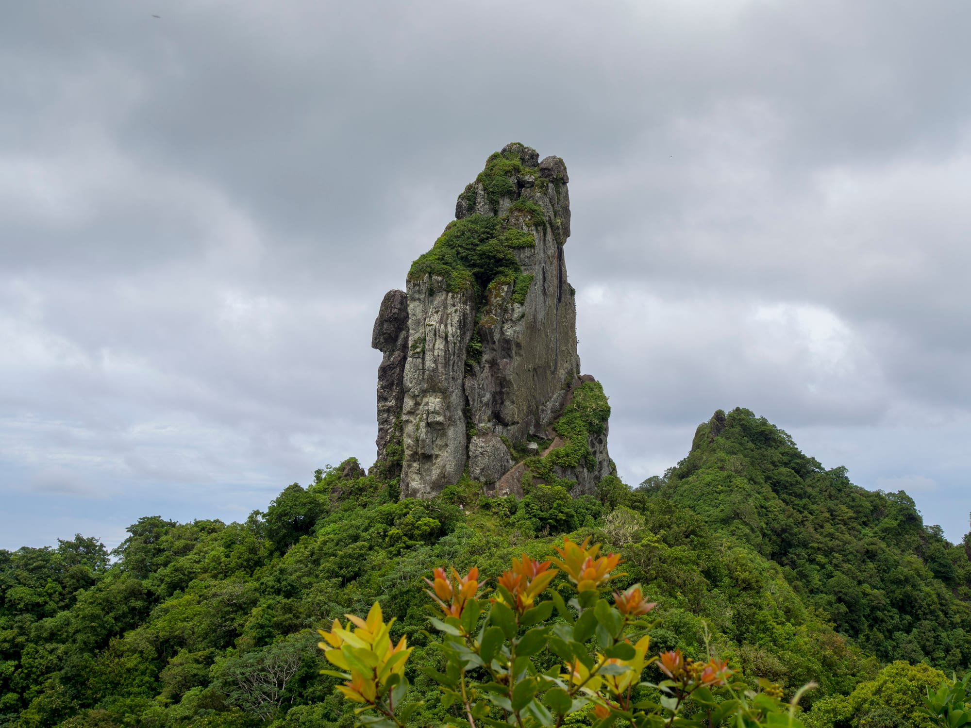 A sharp rock pinnacle rising from a jungle-covered mountain ridge