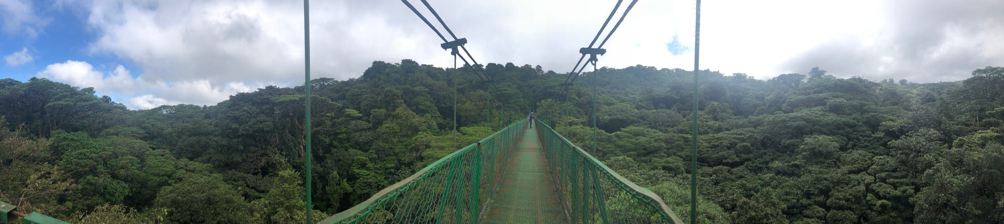 A narrow suspension footbridge crossing high above the canopy of a misty forest
