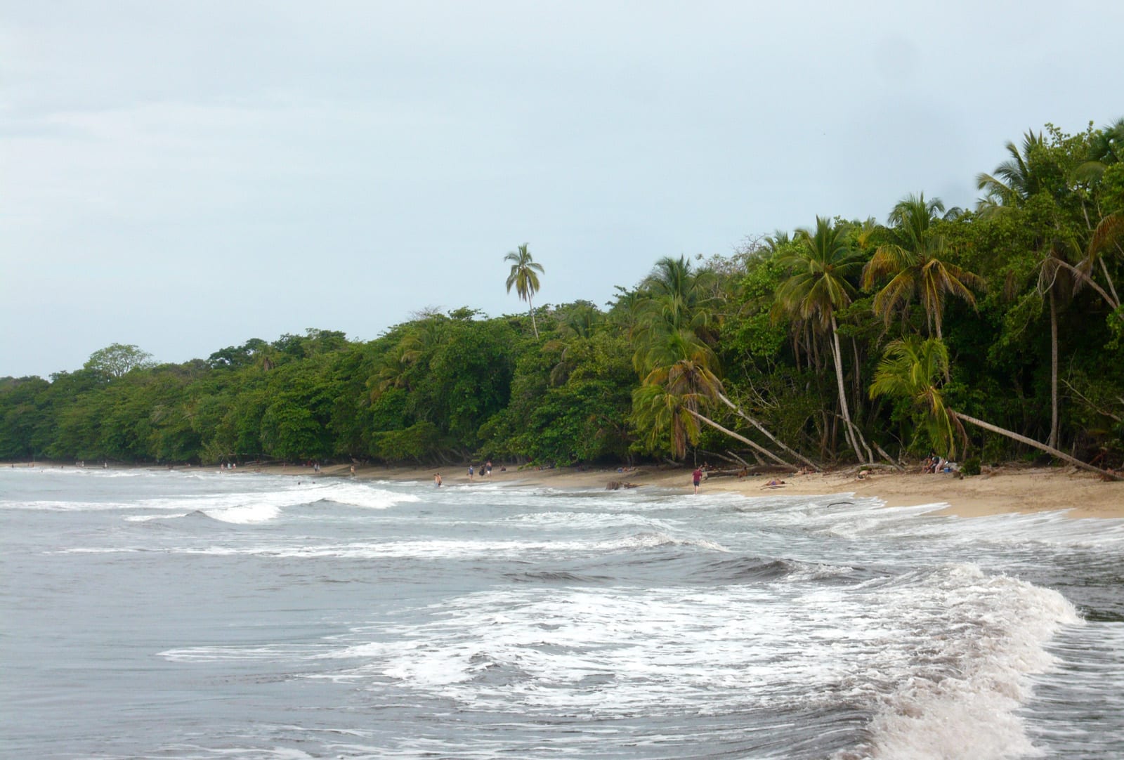 A palm-lined beach of dark sand meeting calm Caribbean water, reef offshore