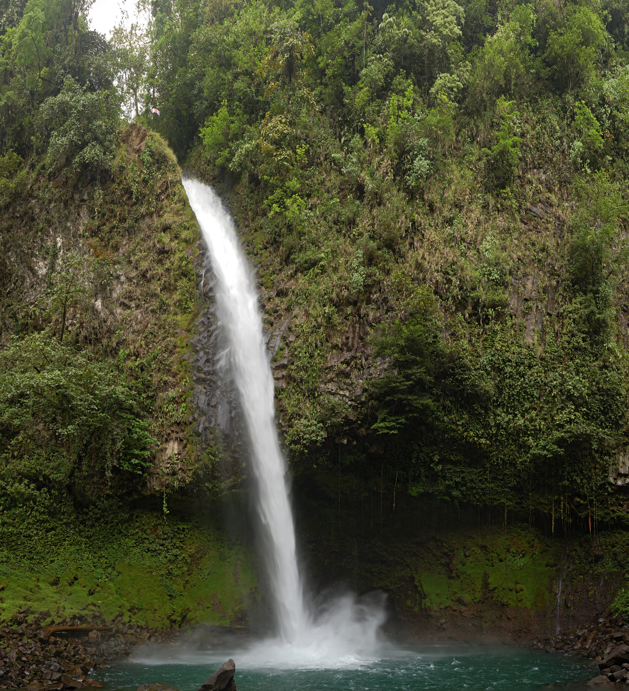 A tall thin waterfall dropping into a deep blue-green pool in a rainforest gorge