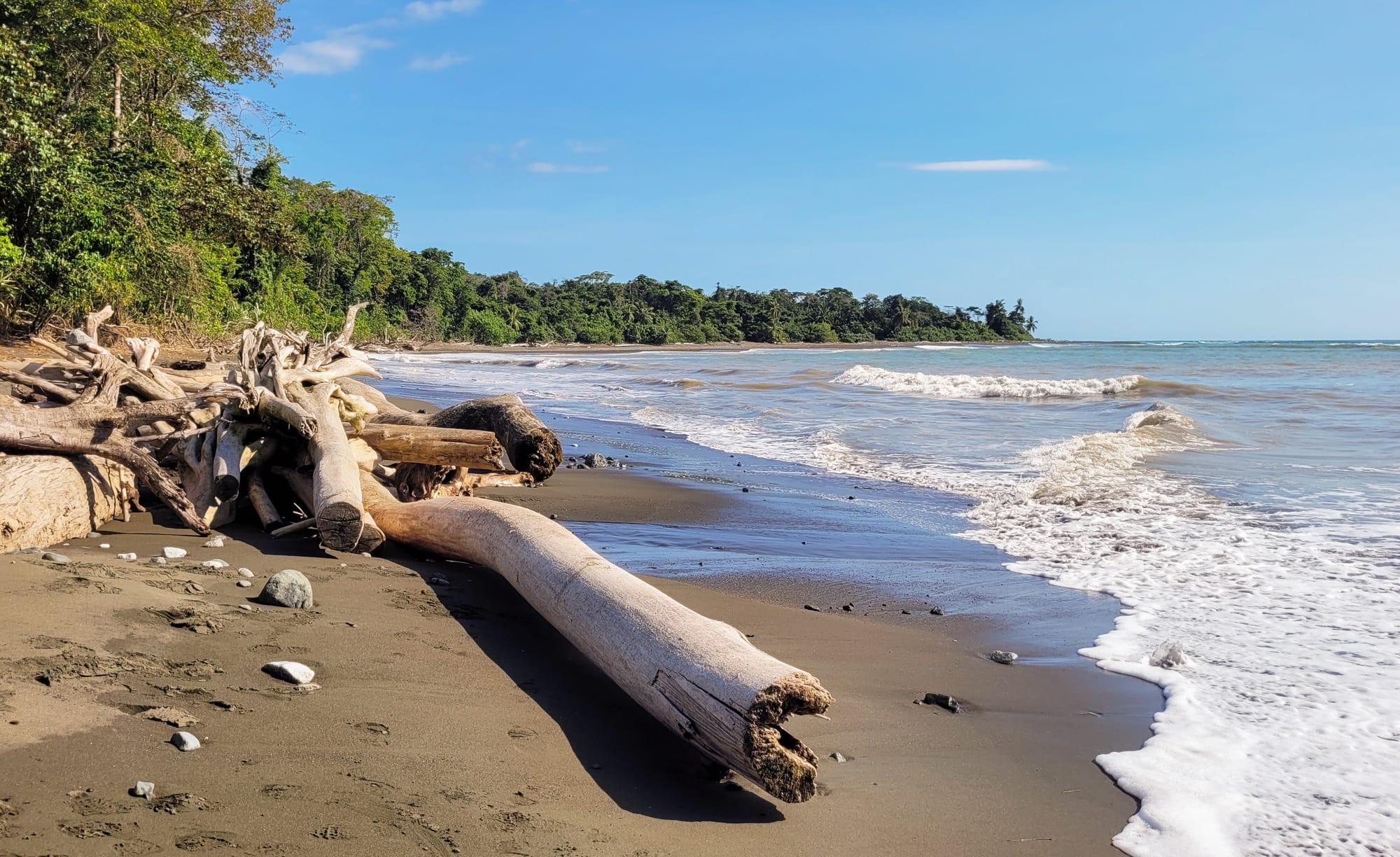 Untouched rainforest running to a wild, empty Pacific beach