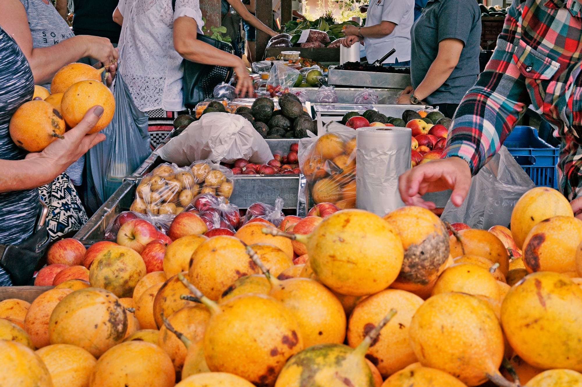 Shoppers reaching for fruit and vegetables piled high on tables at an outdoor Costa Rican farmers market