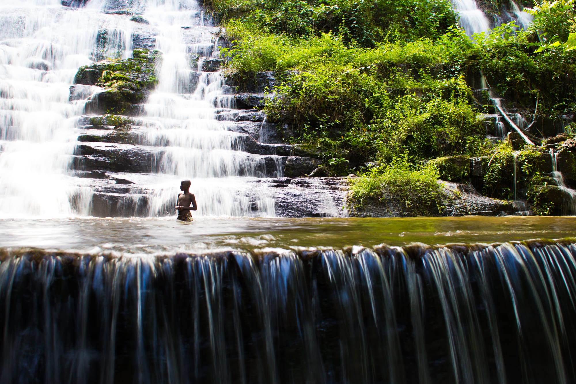 Water cascading over mossy rock ledges in dense green forest