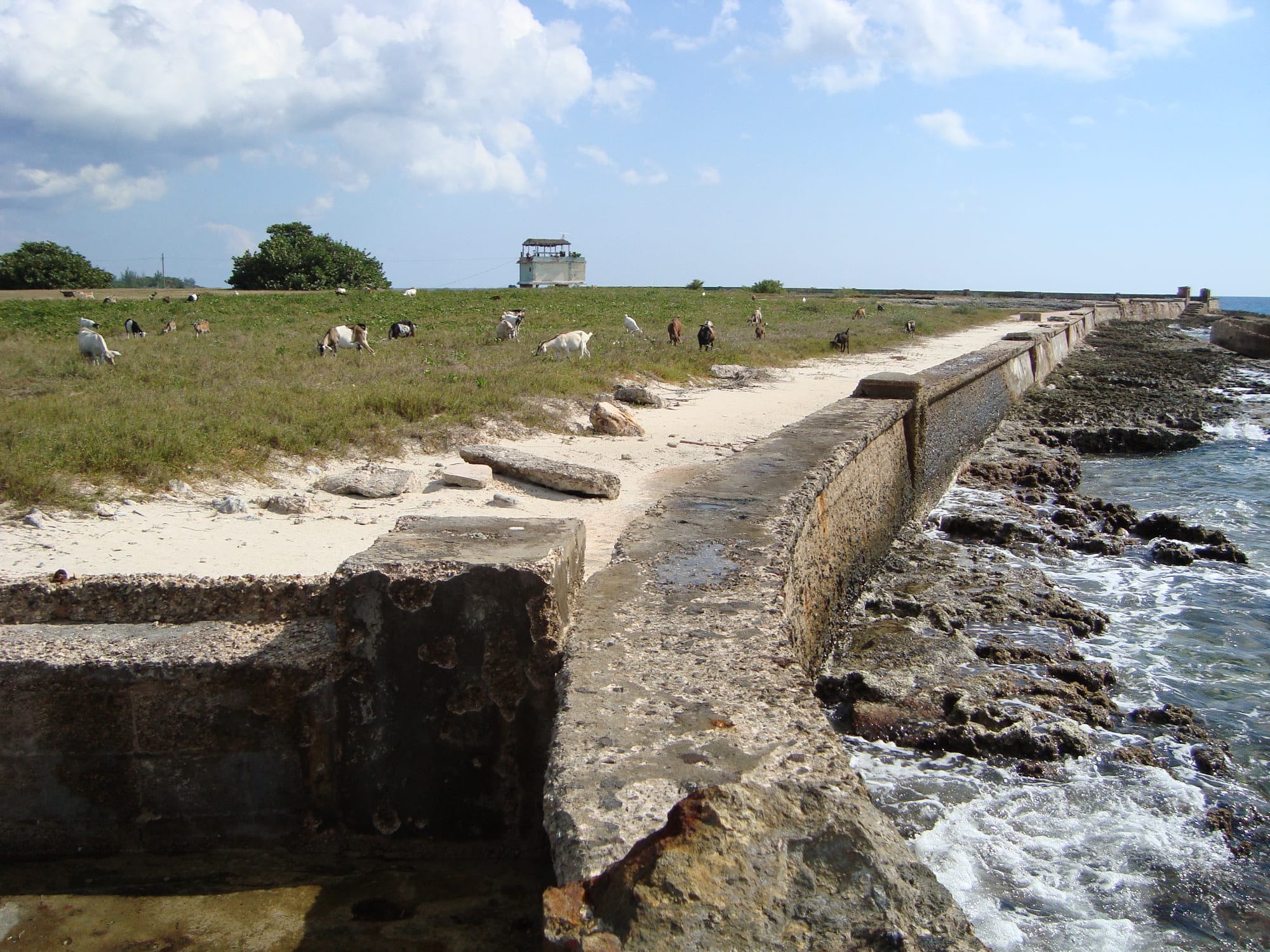 A calm turquoise cove with limestone shelves and low scrub, few people