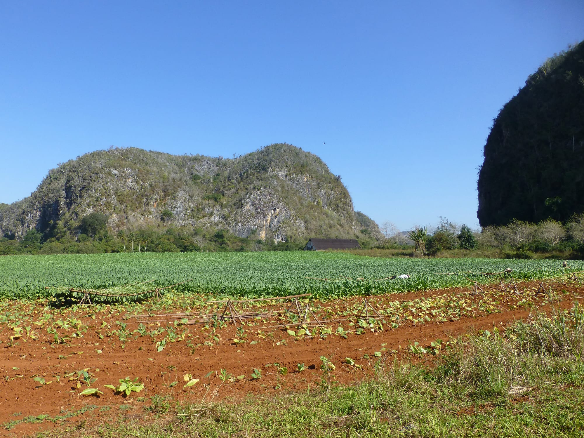 Steep-sided rounded limestone hills rising abruptly from a flat green valley of small farms