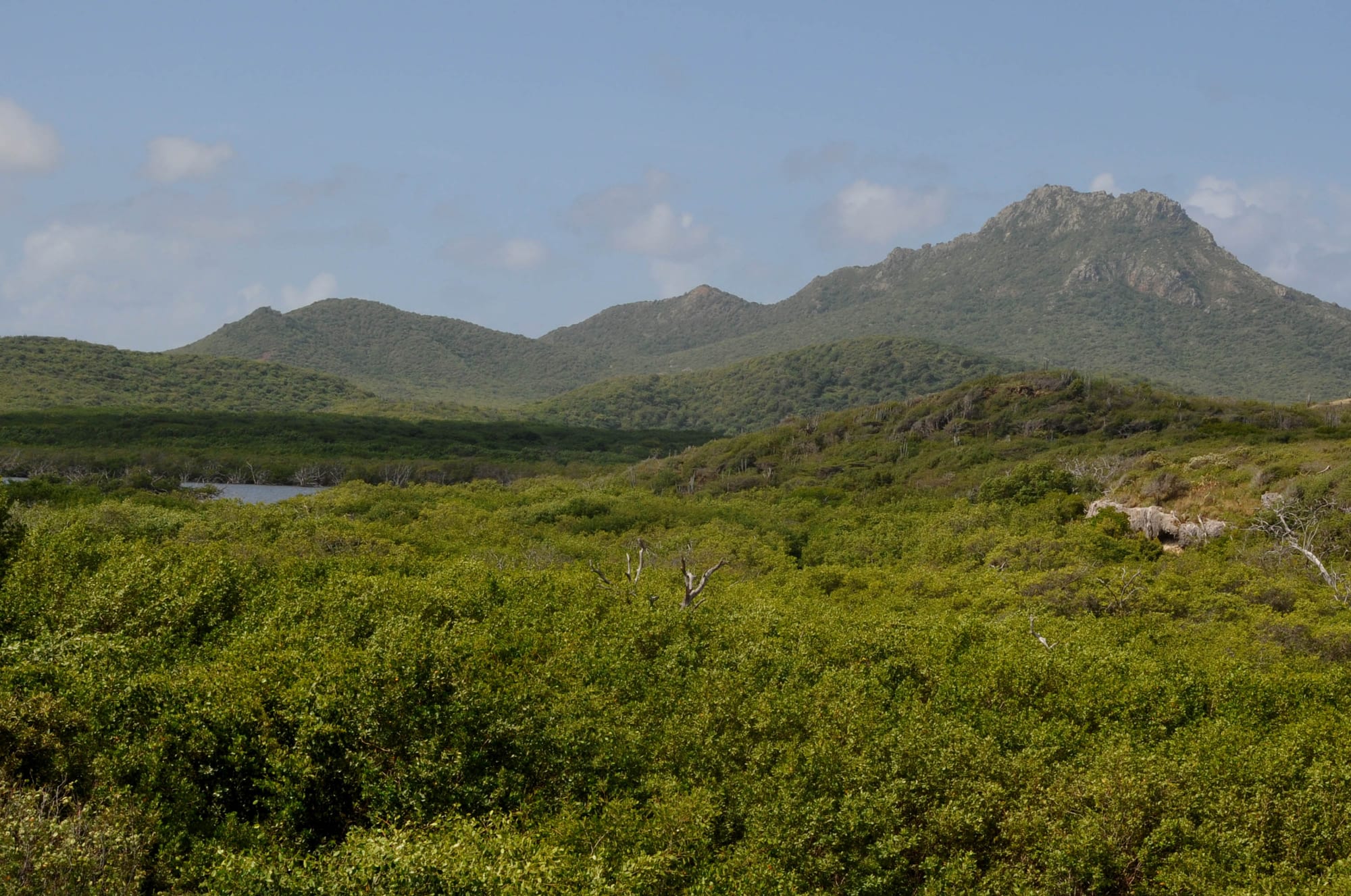 A rocky peak rising above scrubland and cactus in the park