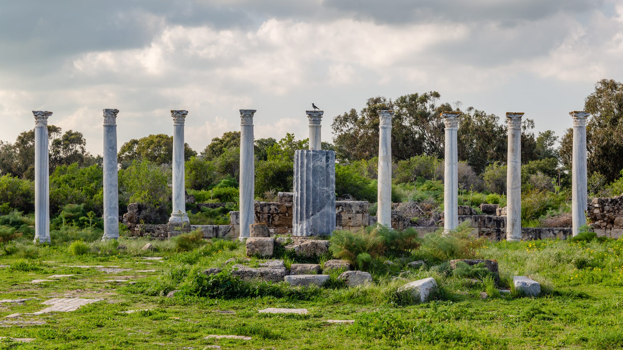 A row of slender white marble columns with carved capitals standing among low ruined walls and spring grass, with trees behind under a cloudy sky