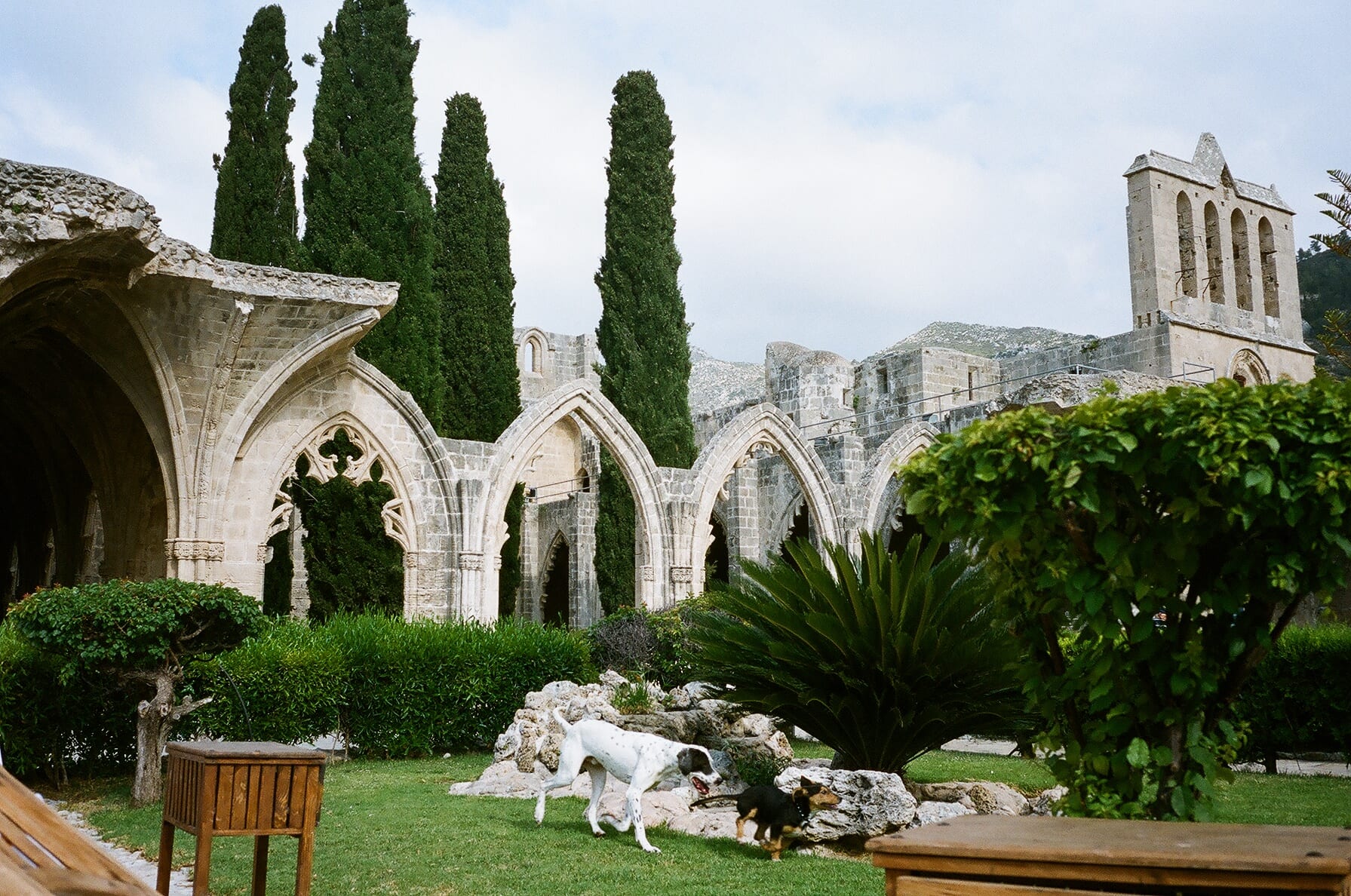 The ruined Gothic arches and cloister of a hillside medieval abbey overlooking the sea