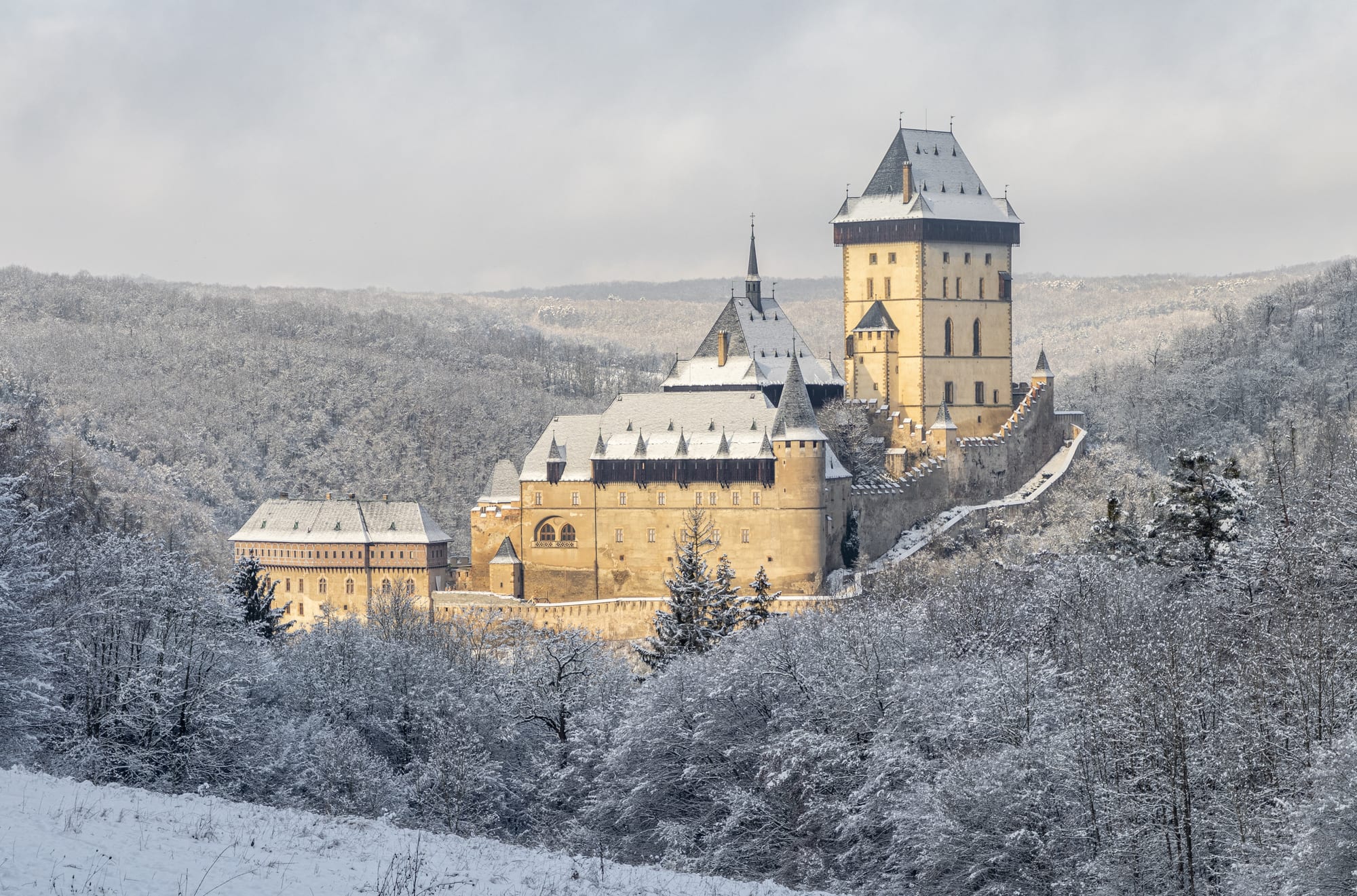A stepped Gothic castle of towers and walls on a wooded hill, under snow