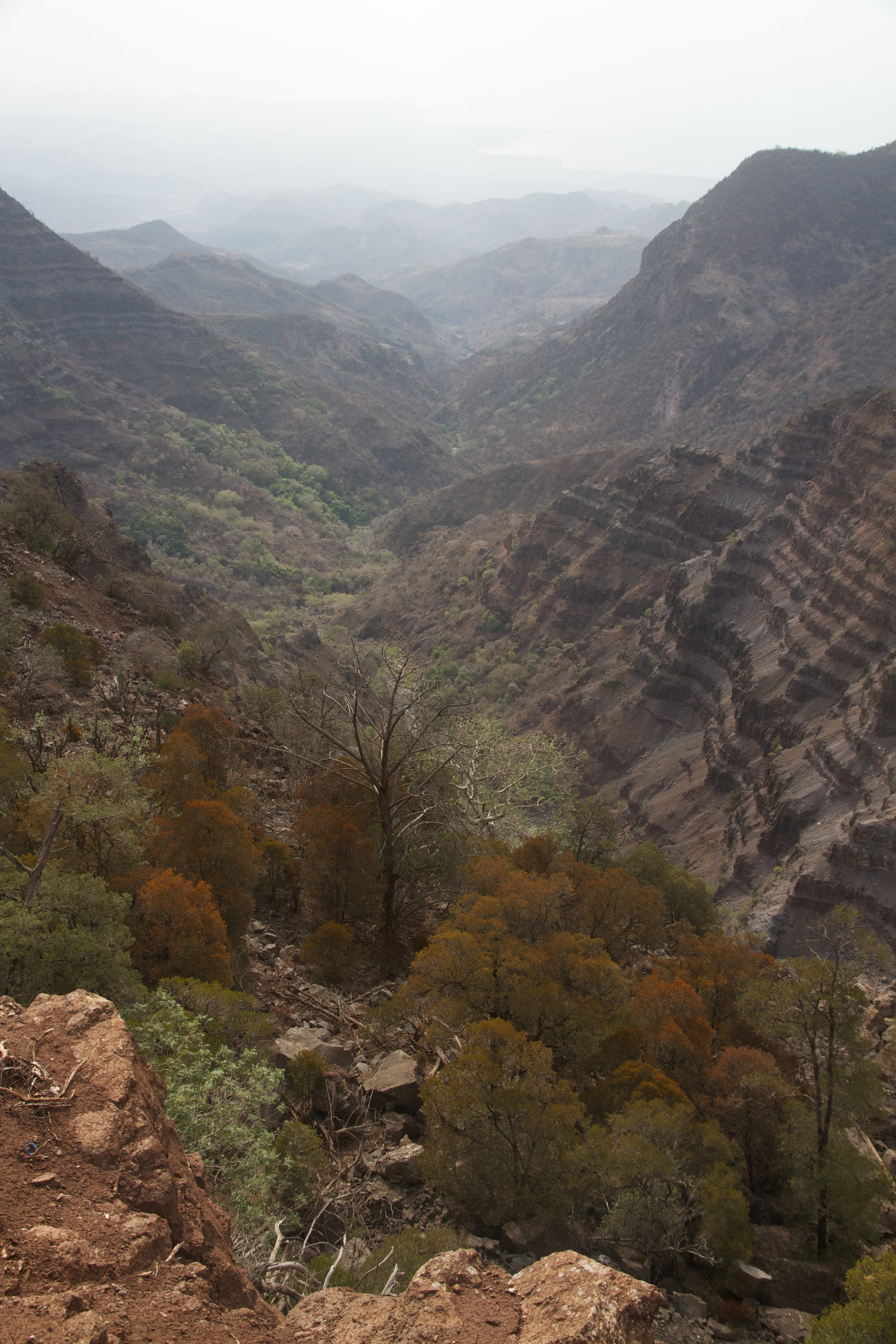 Rugged dry mountains with scattered trees and patches of green in the higher folds