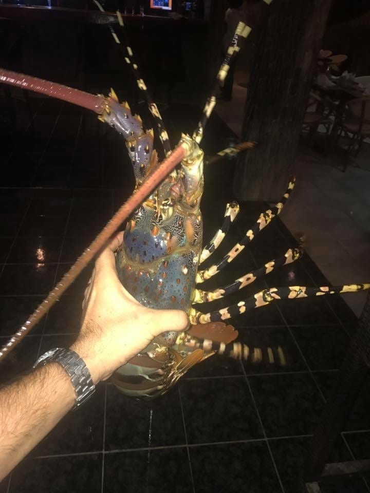 A plate of grilled seafood