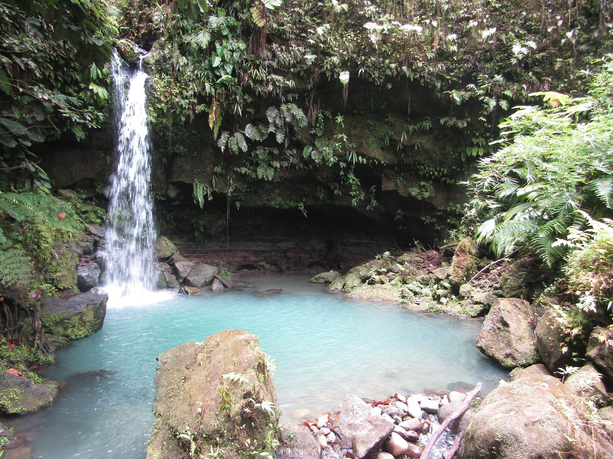 A slender waterfall falling into a round green pool enclosed by dripping ferns and rock