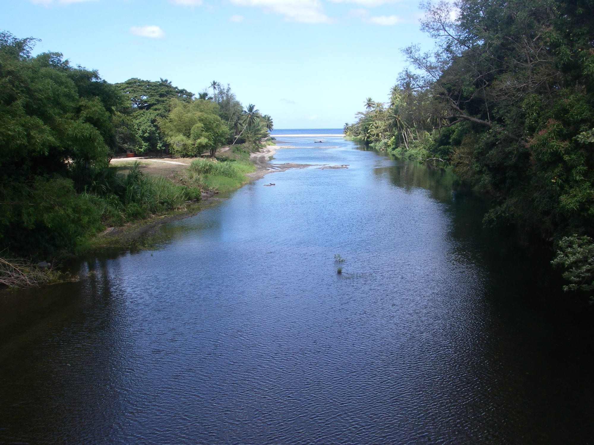A wide river bordered by palm trees and forest, flowing out to meet the sea on Dominica's coast
