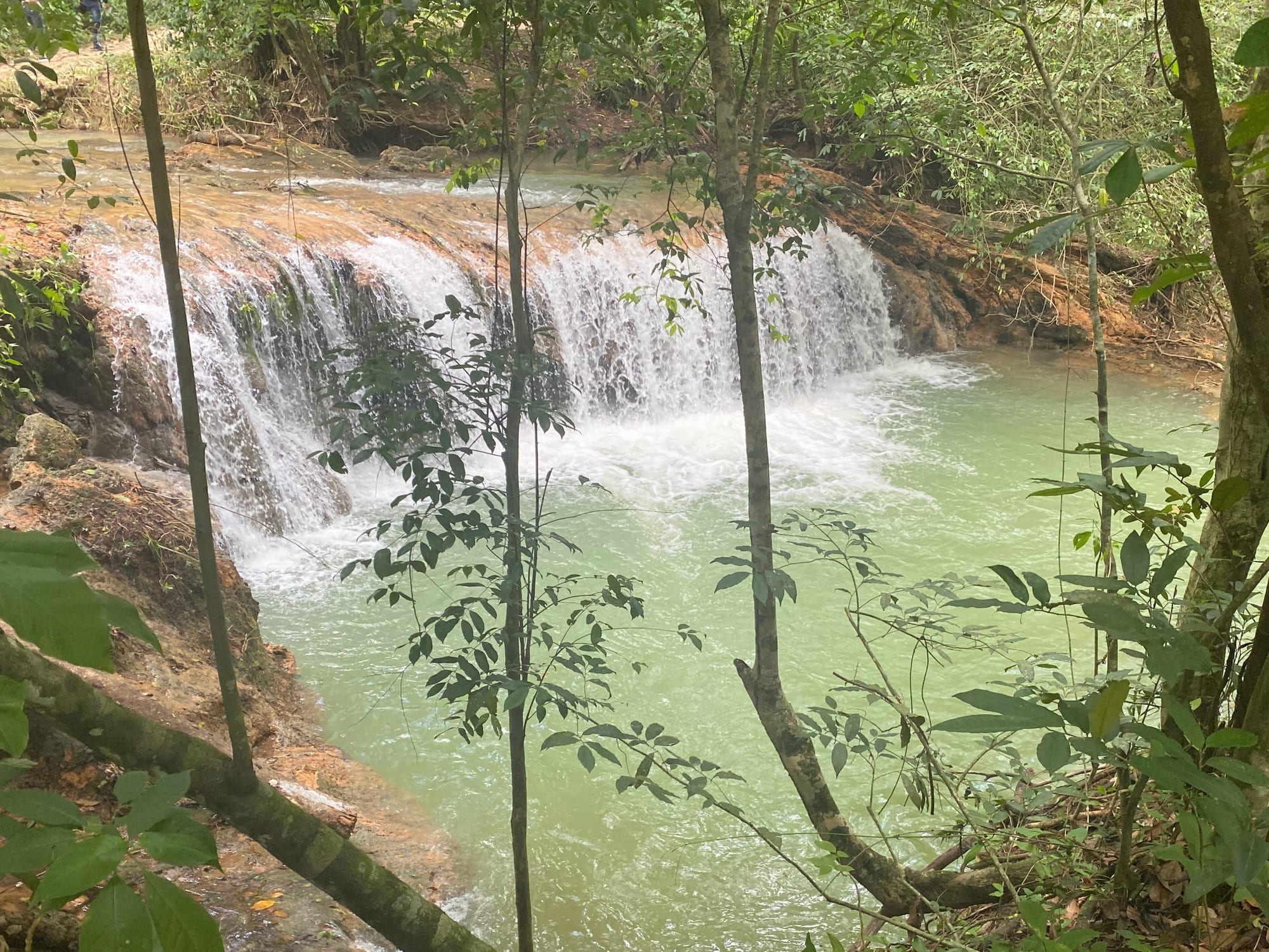 A wide waterfall dropping about 40 metres into a green pool in dense forest