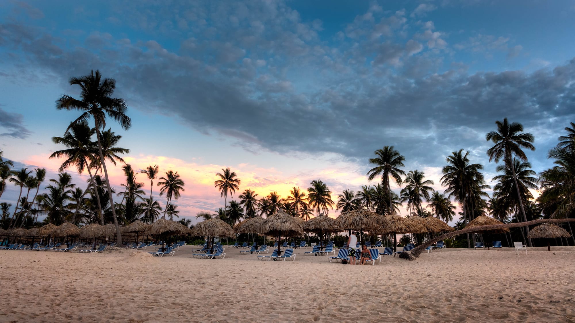 Coconut palms leaning over a wide white beach at sunset, calm sea