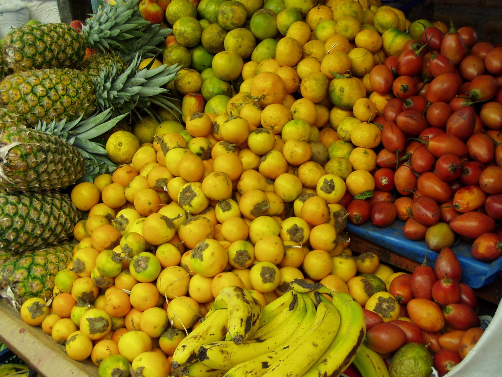 A market stall piled high with pineapples, tree tomatoes, citrus and bananas