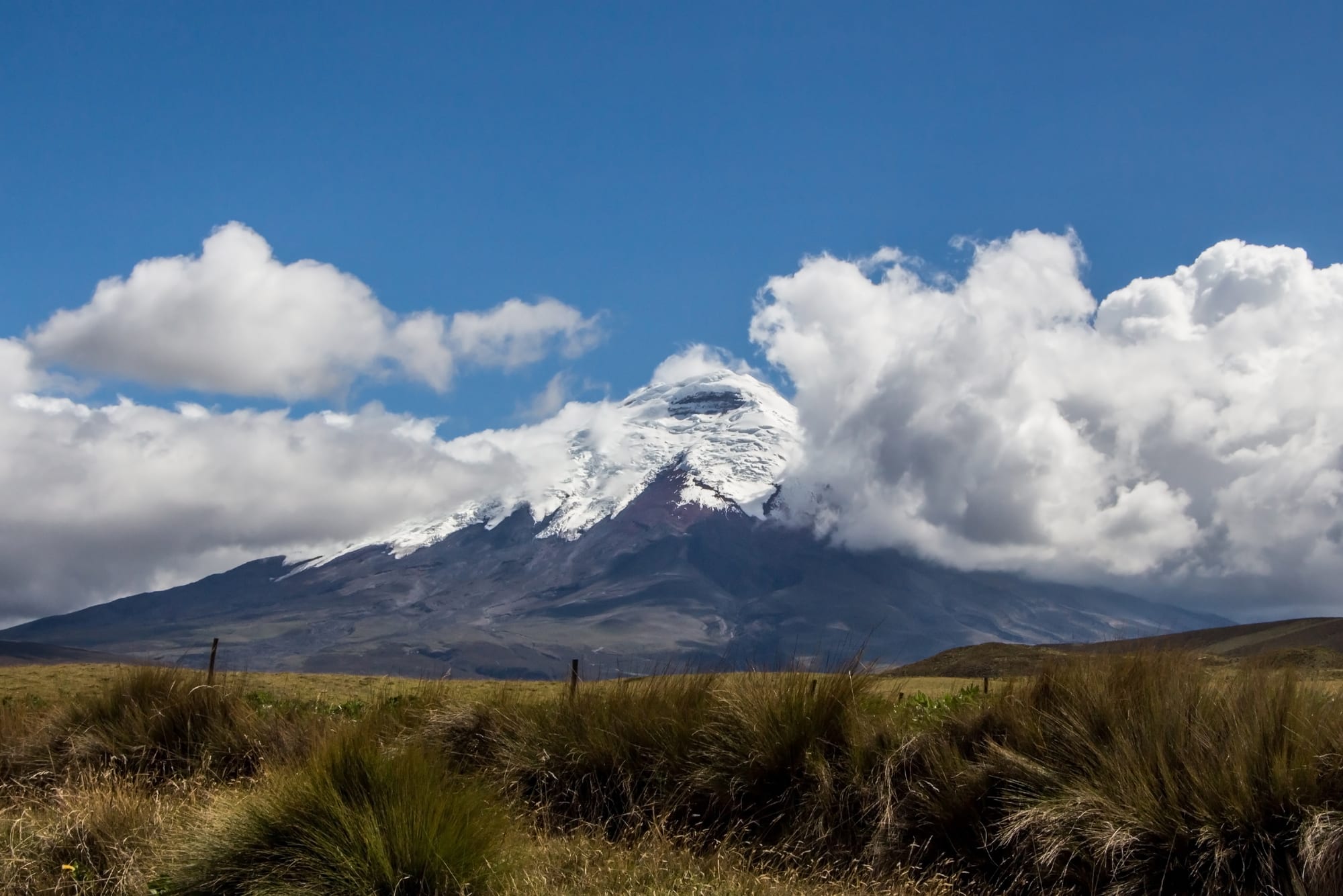 A near-perfect snow-covered volcanic cone rising above golden high-altitude grassland