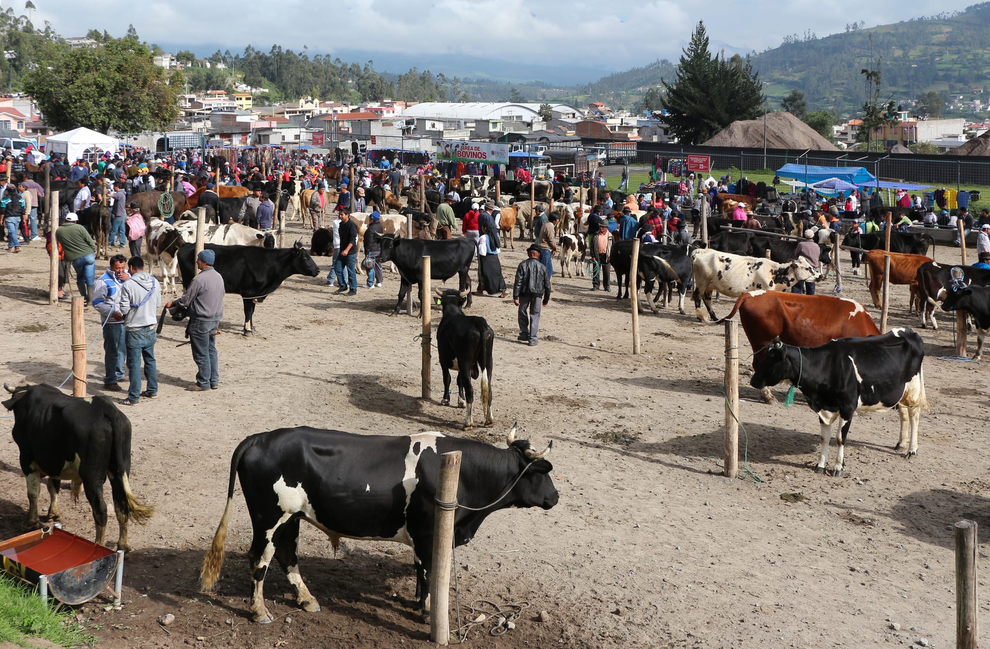 A crowded outdoor market of stalls and people among low buildings, hills behind