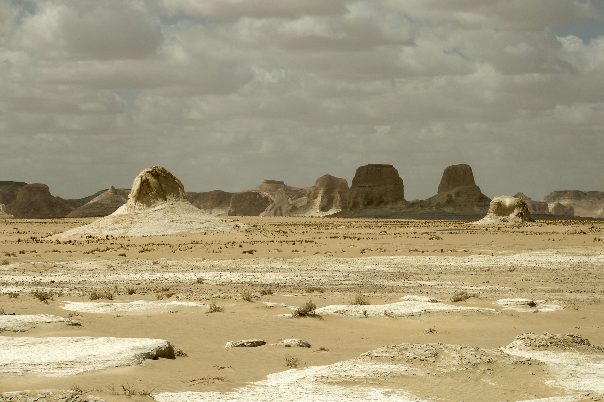 Surreal white chalk rock formations shaped like mushrooms and animals on pale desert sand