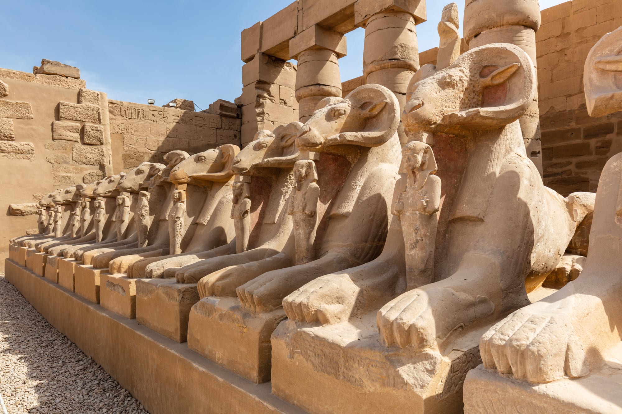 A forest of massive stone columns carved with hieroglyphs and figures, open to the sky