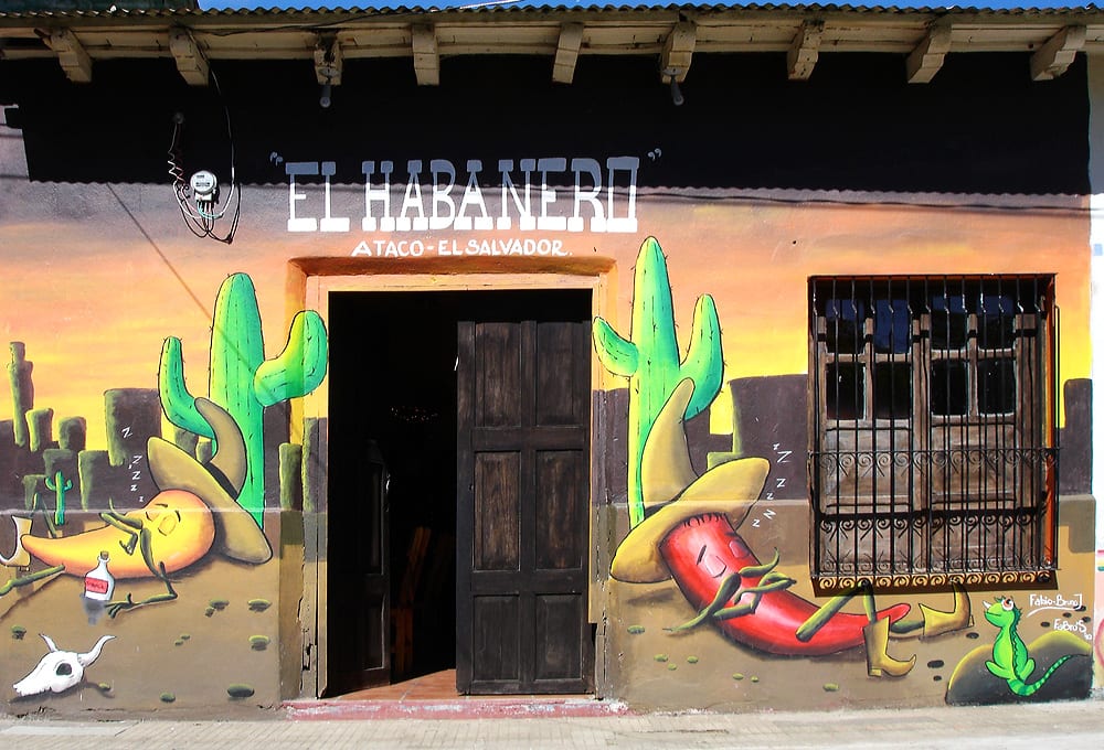 A cobbled street of low houses with brightly painted murals and flowers