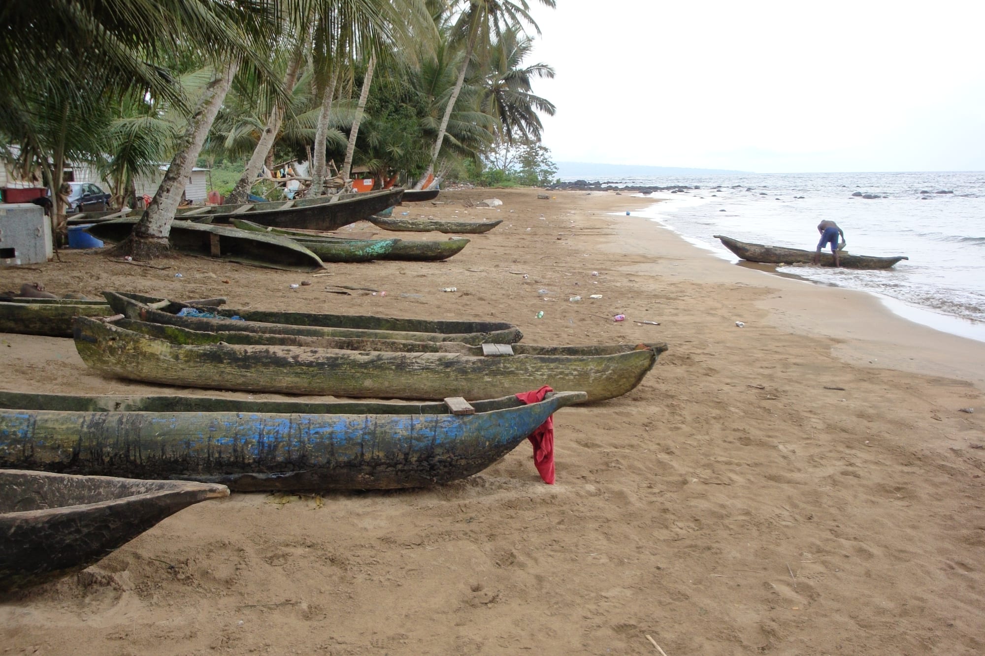 Wooden dugout canoes pulled up on a grey-sand beach backed by dense jungle