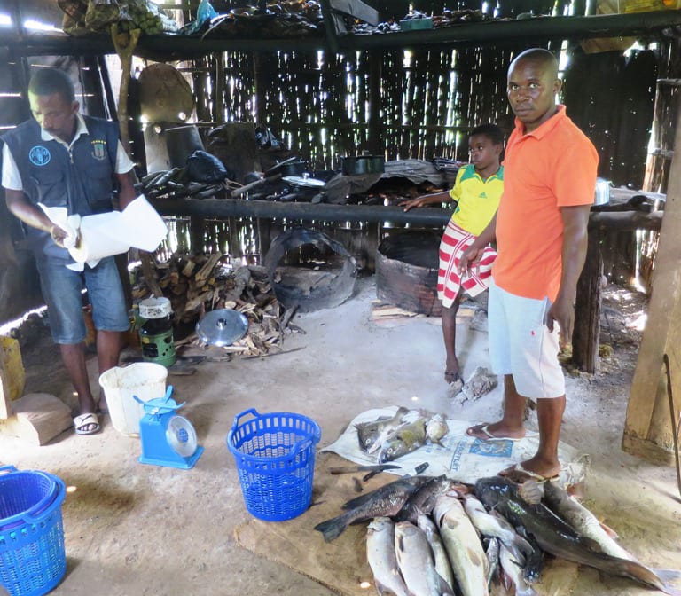 A man and a boy standing beside a display of fish laid out for sale on the ground inside an open timber fish-smoking shed