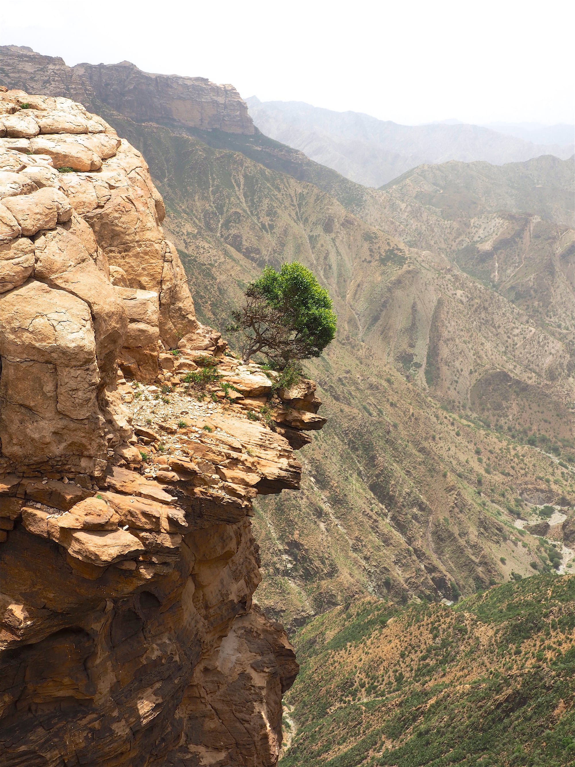 A deep, sheer-walled canyon cutting through a high dry plateau